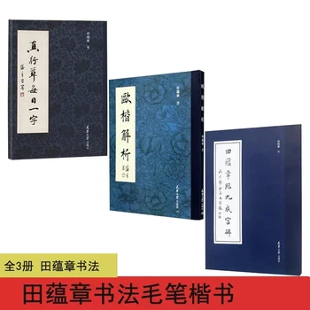 Kaligrāfija Copybook Tian Yunzhang Ķīniešu Rakstzīmes Struktūras Analīze Ou Stila Regulāri Ou Stila Regulāri Skriptu Piezīmes